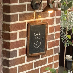 🌰✧˚🍂 ༘・🍁