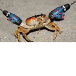 아준클럽