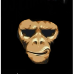 Avani’s group for robux