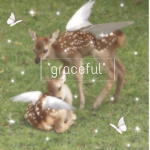 “graceful”