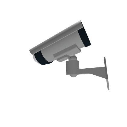 Camera with eye
