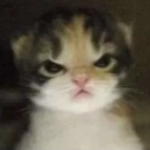 罪。