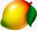 Simply mango group