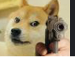 Team Doggo and Doge and Floppa