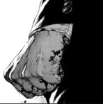 S p r i n g e r bloodline