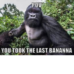 monke monke monke monke monke