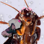 Sebastian’s Roaches