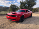 hellCatz122132