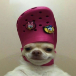 I hate u soo much