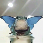 Fairy_frog