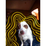 Itz_StellaPlayz fans