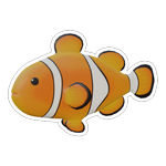 First Clownfish