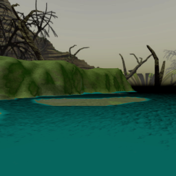 swamp.