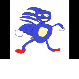 Hide and Go Sanic icon