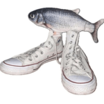 fishiewishie Team