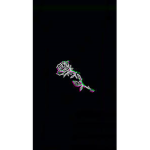 Aesthetic.Bsp