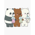bearxbears