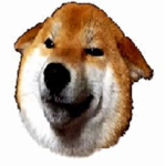 Wow Doge Clothing