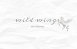 Wild wings riding academy