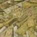 Needle in a Haystack icon