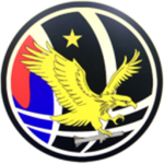 ROKAF Fighter Wing