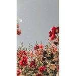 Flowęrs