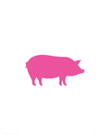 Pinky Pig Productions