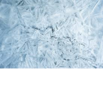 Frosty Fighter Force