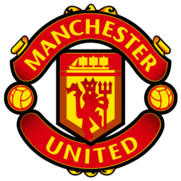 Manchester United Match Pitch icon