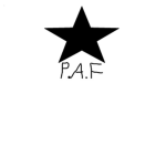 The Private air force