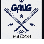 The gang for da hood