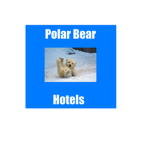 Polar Bear Hotels