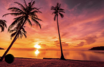 Sunset game’s