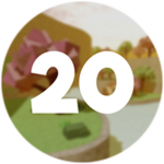 Level 20