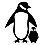 Penguin fc fc