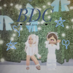 BDC (custom, perm team)