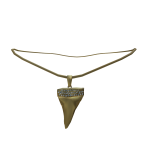 Gold Shark-Tooth Necklace