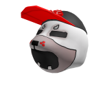 Guestly Dog with a Cap