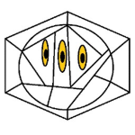 No Consciousness