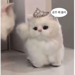큐티그룹