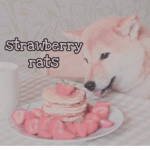 x strawberry rats x