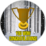 You Won! 