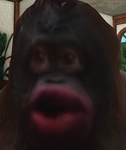 赞 olo