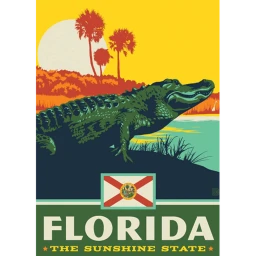 FLORIDA: *THE SUNSHINE STATE* icon