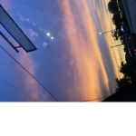 ¥ ent.