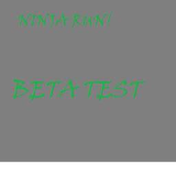 Ninja Run!