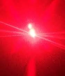 (TCN) THE CRIMSON NETWORK