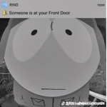 I am Lemon