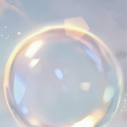 ✨
