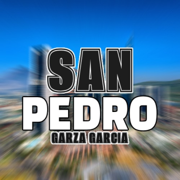 SAN PEDRO GARZA GARCIA PROYECT
